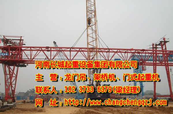  福建福州單梁門式起重機