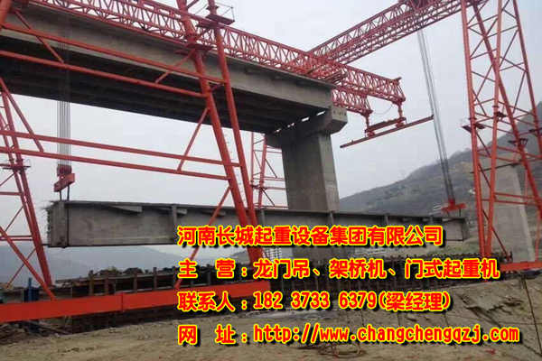  海南?？陂T式起重機廠家