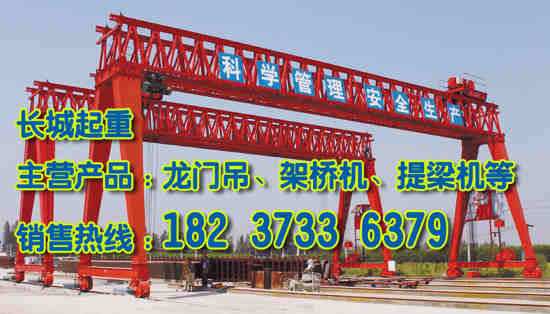 山東濟(jì)南門(mén)式起重機(jī)租賃