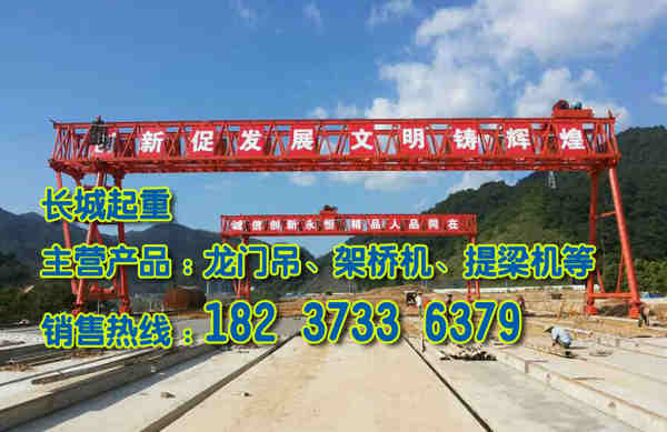 河南開(kāi)封門(mén)式起重機(jī)出租