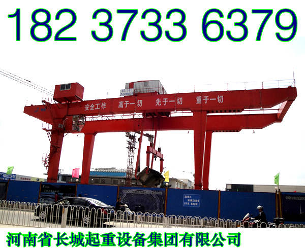 海南?？陂T式起重機廠家